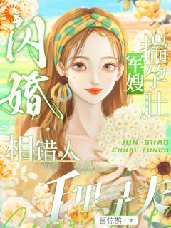 《闪婚相错人，军嫂揣孕肚千里寻夫》完结版精彩试读 《闪婚相错人，军嫂揣孕肚千里寻夫》最新章节列表