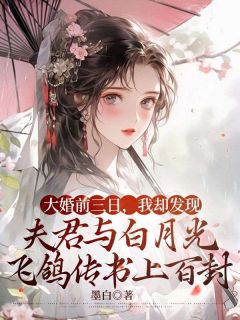 《大婚前三日，我却发现夫君与白月光飞鸽传书上百封》全文阅读 段玉山白琳琅小说章节目录