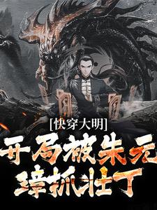 精品小说《快穿大明：开局被朱元璋抓壮丁》杨少峰朱重八已完结版全文章节阅读