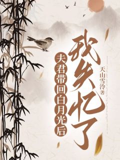 夫君带回白月光后，我失忆了全章节免费在线阅读 裴辞慕清欢映月小说完结版