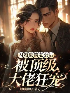 《闪婚废物老公后，被顶级大佬狂宠》小说完结版免费试读 纪小离秦振阳小说阅读