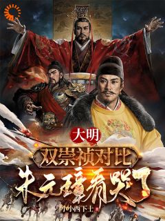 《大明：直播演绎为大明续运三百年》朱元璋朱由检完结版精彩试读