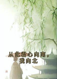 从此君心向南，我向北沈婈婈秦衡小说免费试读