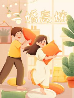 《二婚高嫁》小说完结版免费阅读 林霜周亦陆铭声小说阅读