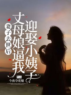 妻子去世后，丈母娘逼我迎娶小姨子陈正豪袁玲雅小说结局精彩章节全文