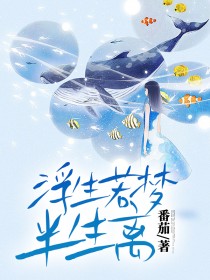 浮生若梦半生离谢长清芙蓉小说结局完整全文