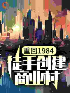 重回1984，徒手创建商业村陈锋林小兰全文免费试读