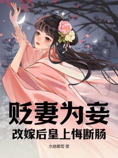 《贬妻为妾，改嫁后皇上悔断肠》小说全文在线试读 宋玉卿李彻小说全文