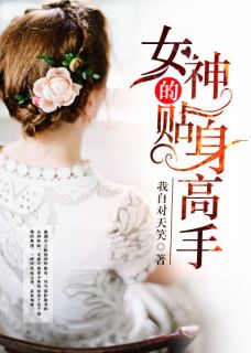 《女神的贴身高手》小说大结局在线试读 陈扬苏晴小说全文