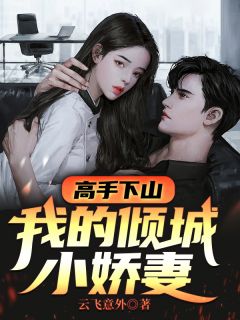 《高手下山:我的倾城小娇妻》小说主角杨志叶溪全文章节免费在线阅读