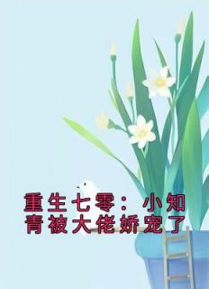 重生七零：小知青被大佬娇宠了by楠瓜瓜 苏妙妙姜景川章节目录