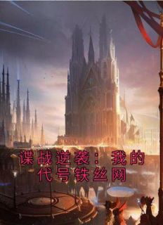 《谍战逆袭：我的代号铁丝网》刘长川王奎章节列表精彩阅读