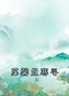 《苏馨孟寒寻》(苏馨孟寒寻)小说阅读by苏馨