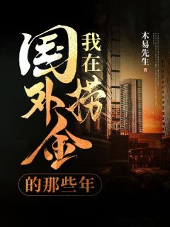 精品《我在国外捞金的那些年》小说免费试读 杨子浩刘伟小说全集无删减全文