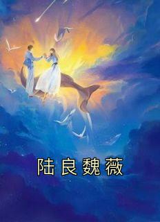 《陆良魏薇》小说全文免费试读 《陆良魏薇》最新章节列表