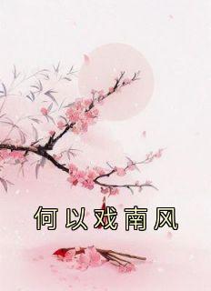 《何以戏南风》小说章节列表在线试读 宋宛妙江钰司洛小说全文