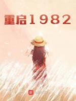 《重启1982》小说完结版免费阅读 段云段芳小说阅读