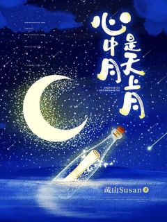 《心中月是天上月》小说章节在线试读 月言关阅川小说全文