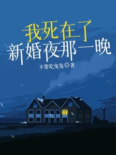 《我死在了新婚夜那一晚》小说完结版免费阅读 鹿瑶周正小说全文