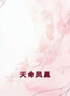 《天命凤凰》幼娘林柔小说精彩内容免费试读