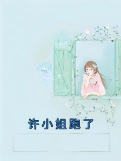 青春小说《许小姐跑了》主角许妍夏雪落全文精彩内容免费阅读