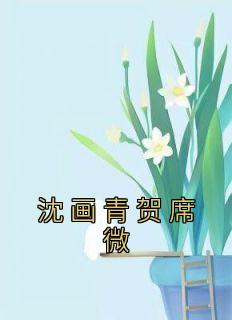 《沈画青贺席微》精彩章节列表在线试读 沈画青贺席微小说