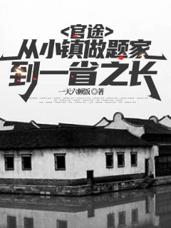 官途：从小镇做题家到一省之长主角王鸿伟朱梦瑶全文精彩内容在线试读