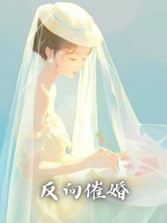 《反向催婚》小说精彩章节免费试读（主角刘盼儿刘耀祖）