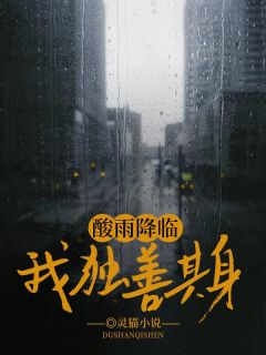 《酸雨降临，我独善其身》小说章节免费试读 张霞张大庄小说全文