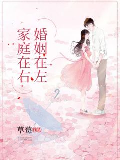 《婚姻在左，家庭在右》小说完结版精彩试读 苏倩李来贵小说全文