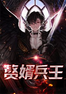 赘婿兵王by成天穆星辰完整版 成天穆星辰小说全集在线阅读